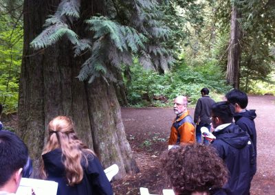 Group surrounding large tree